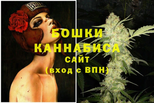 мяу мяу кристалл Гусь-Хрустальный