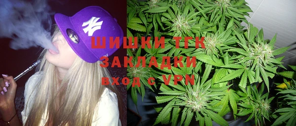 прущие крисы Гусев