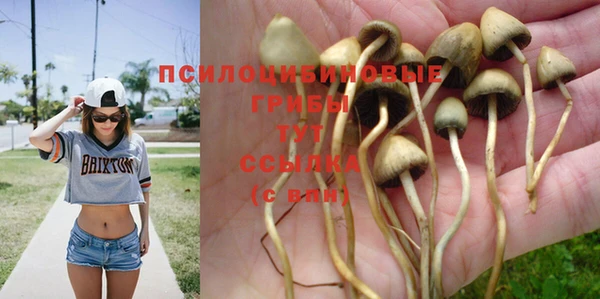 МДМА Гусиноозёрск