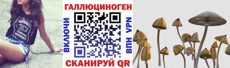 Галлюциногенные грибы MAGIC MUSHROOMS Кострома